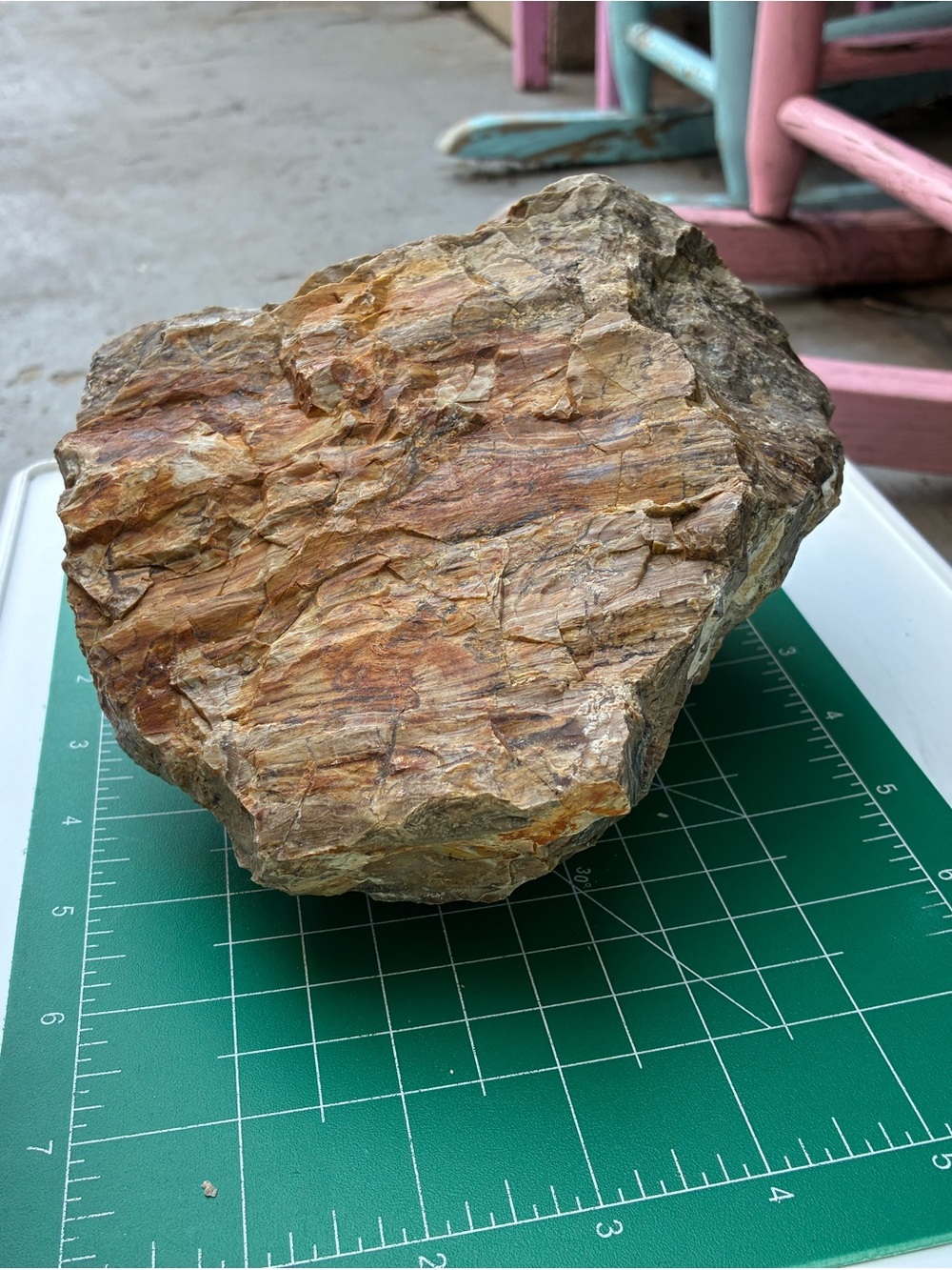 Large Rare Petrified Wood Specimen Rough 6” x7”, Over 5 Lbs - Picture 12 of 16